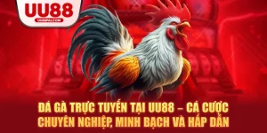 Đá gà trực tuyến tại uu88 cá cược chuyên nghiệp