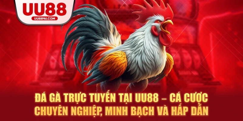 Đá gà trực tuyến tại uu88 cá cược chuyên nghiệp