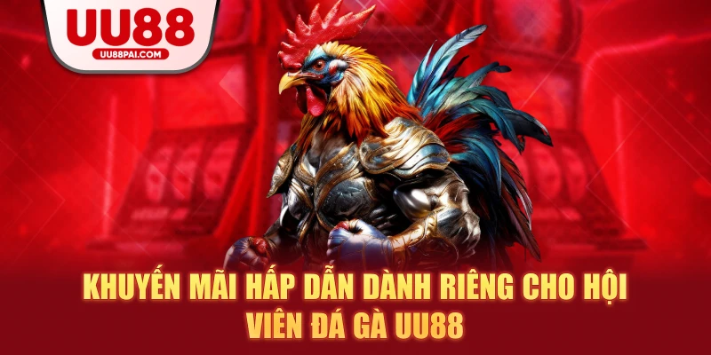Khuyến mãi hấp dẫn dành riêng cho hội viên đá gà